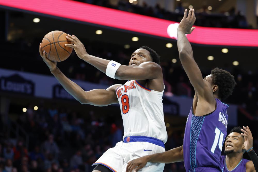 加多样化 加多样化